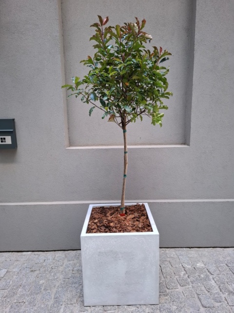 Donica z włókna szklanego KWADRAT lakierowana. Rozmiary od 40cm do 200cm