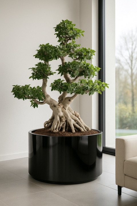 Donica z włókna szklanego CYLINDER lakierowana. Rozmiary od 50cm do 150cm