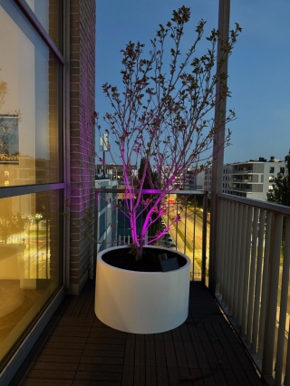 Donica z włókna szklanego CYLINDER lakierowana. Rozmiary od 50cm do 150cm