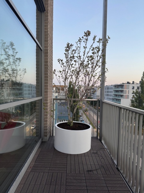 Donica z włókna szklanego CYLINDER lakierowana. Rozmiary od 50cm do 150cm