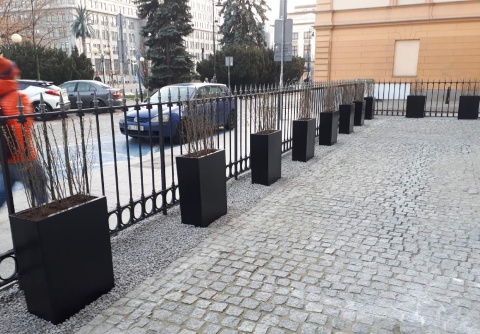 Donica z włókna szklanego ŚCIANKA lakierowana